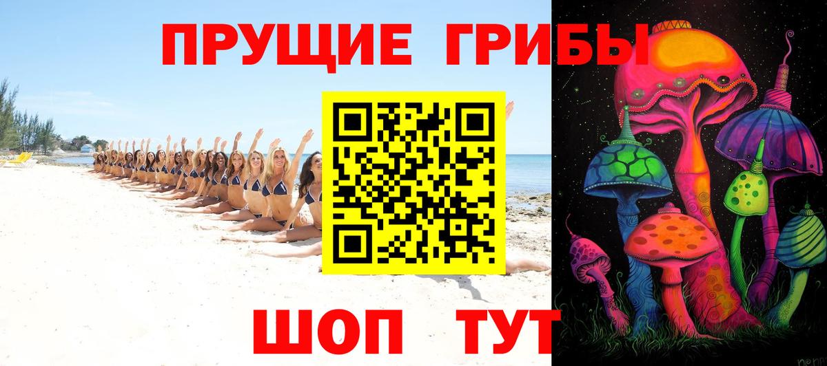 Галлюциногенные грибы GOLDEN TEACHER  Псилоцибиновые грибы прущие грибы  Мариинск  Вход с VPN 