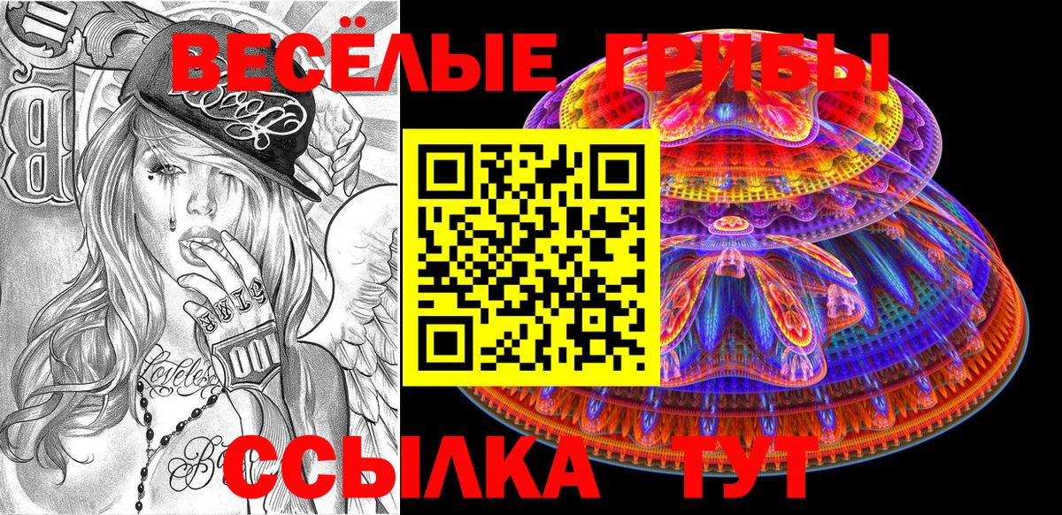 Псилоцибиновые грибы Cubensis Мариинск